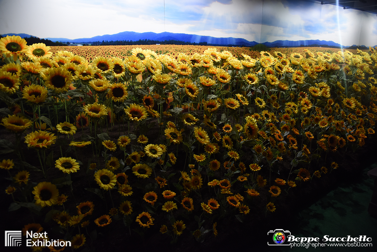 VBS_8125 - Van_Gogh_experience.jpg